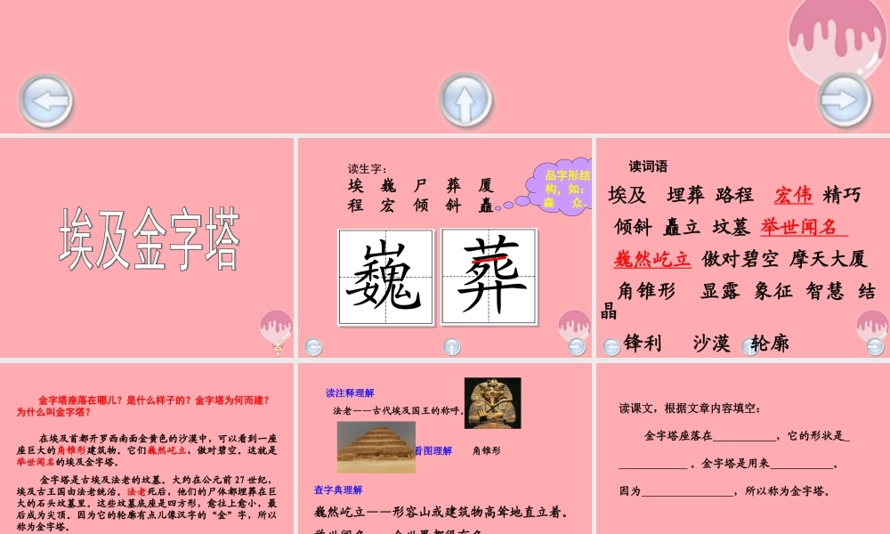 五年级语文上册 第八单元 埃及金字塔课件3 西师大版-西师大版小学五年级上册语文课件