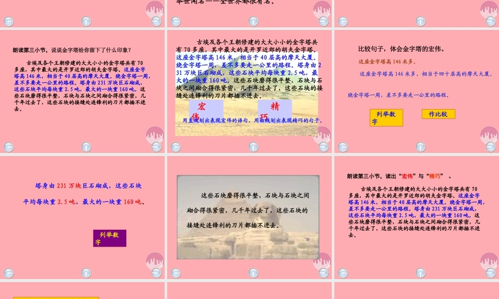 五年级语文上册 第八单元 埃及金字塔课件3 西师大版-西师大版小学五年级上册语文课件