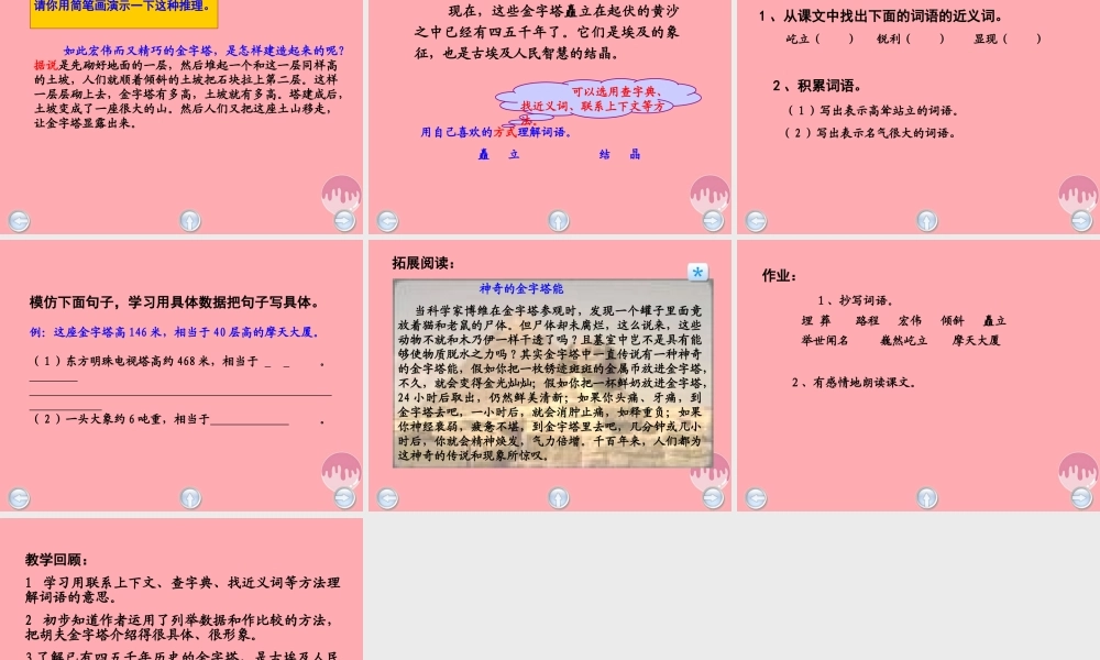 五年级语文上册 第八单元 埃及金字塔课件3 西师大版-西师大版小学五年级上册语文课件