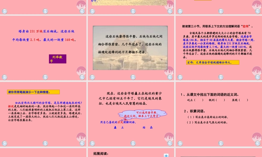 五年级语文上册 第八单元 埃及金字塔课件5 西师大版-西师大版小学五年级上册语文课件