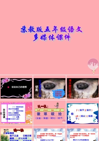 五年级语文上册 第22课 滴水穿石的启示课件 苏教版-苏教版小学五年级上册语文课件