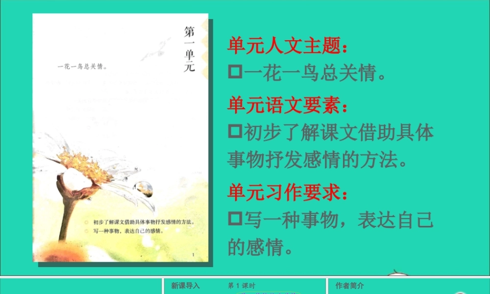 五年级语文上册 第一单元 1 白鹭课件