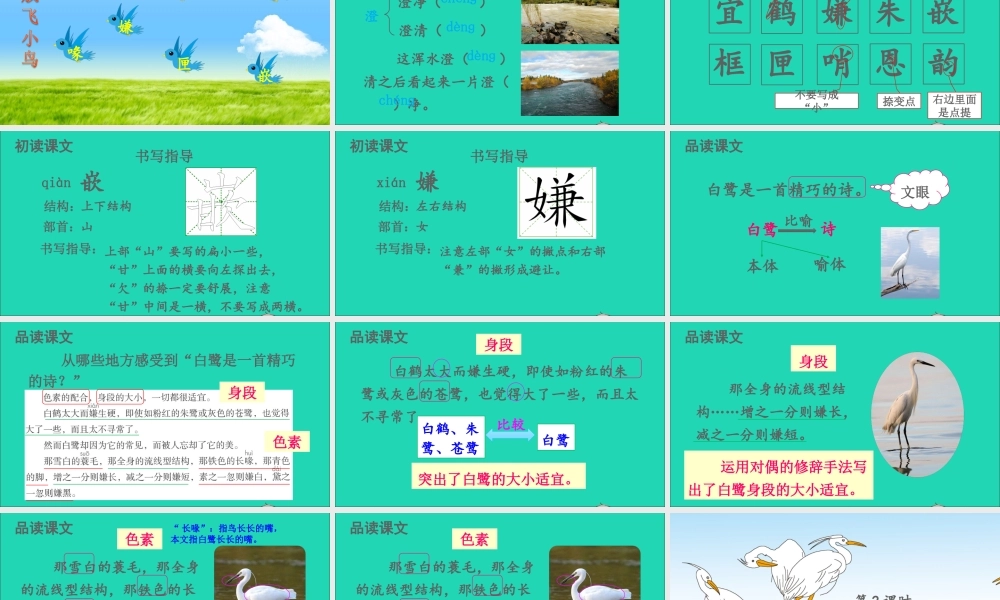 五年级语文上册 第一单元 1 白鹭课件