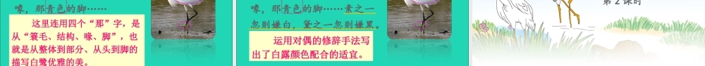 五年级语文上册 第一单元 1 白鹭课件