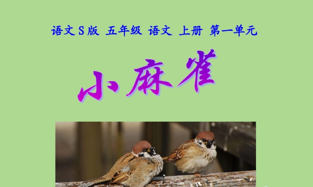 五年级语文上册 第一单元 1 小麻雀教学课件 语文S版-语文S版小学五年级上册语文课件