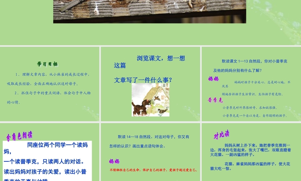 五年级语文上册 第一单元 1 小麻雀教学课件 语文S版-语文S版小学五年级上册语文课件