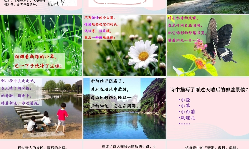 五年级语文上册 第一单元 1《在天晴了的时候》优培课件 冀教版-冀教版小学五年级上册语文课件