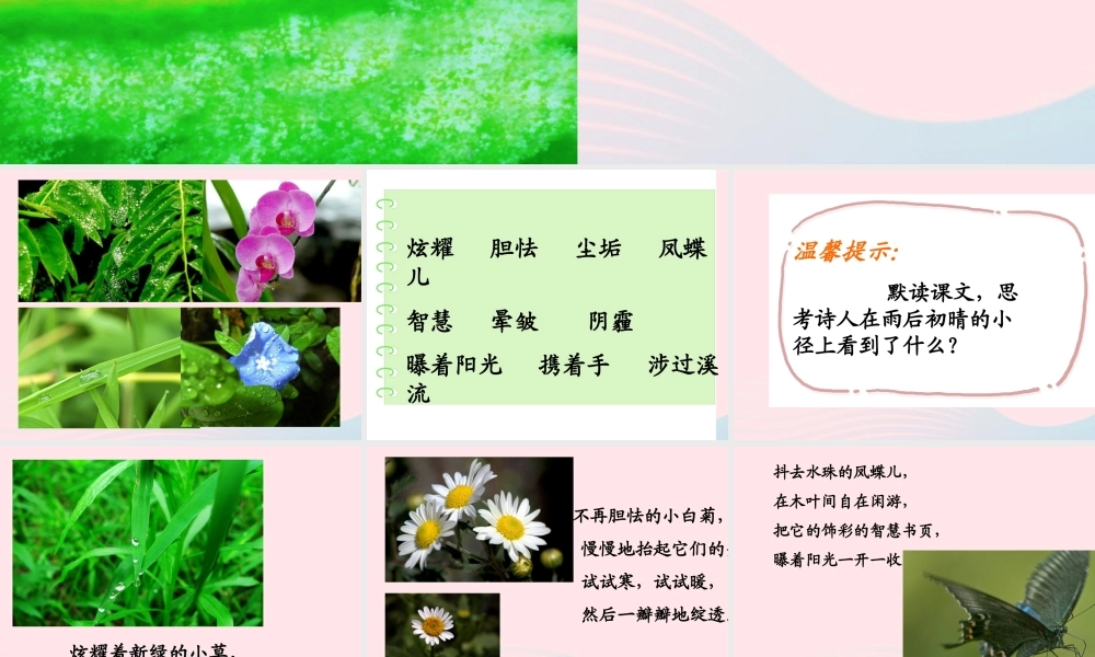 五年级语文上册 第一单元 1《在天晴了的时候》优质同步课件 冀教版-冀教版小学五年级上册语文课件