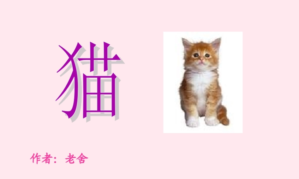 五年级语文上册 第三单元 9《猫》课件1 北京版-北京版小学五年级上册语文课件