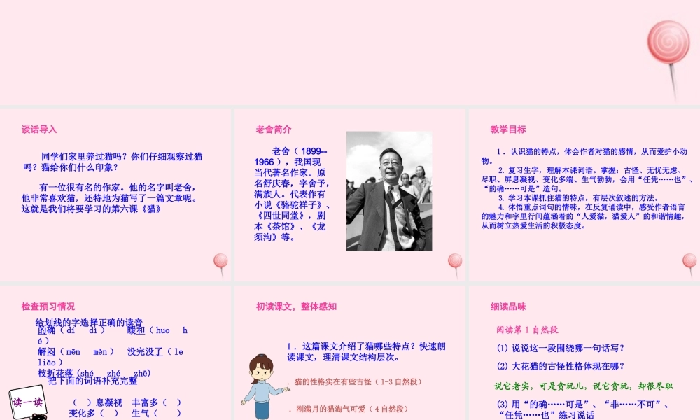 五年级语文上册 第三单元 9《猫》课件1 北京版-北京版小学五年级上册语文课件