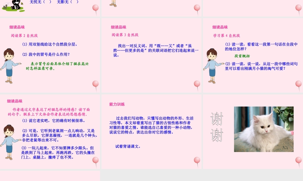 五年级语文上册 第三单元 9《猫》课件1 北京版-北京版小学五年级上册语文课件