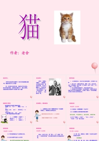 五年级语文上册 第三单元 9《猫》课件1 北京版-北京版小学五年级上册语文课件