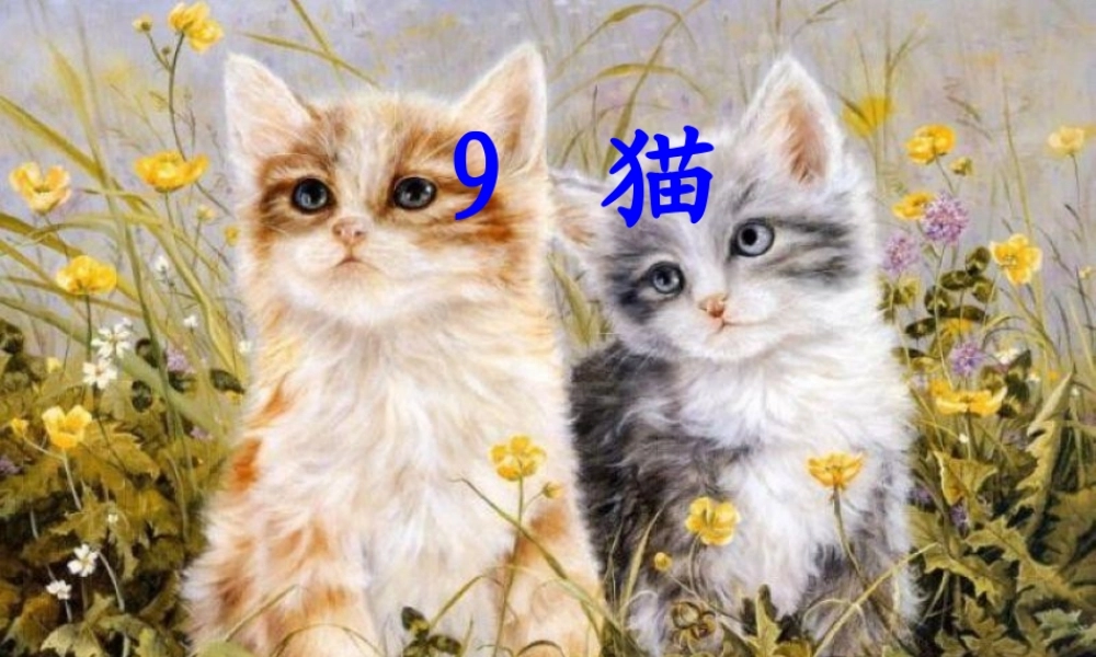 五年级语文上册 第三单元 9《猫》课件2 北京版-北京版小学五年级上册语文课件