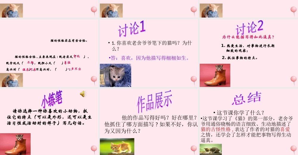 五年级语文上册 第三单元 9《猫》课件2 北京版-北京版小学五年级上册语文课件