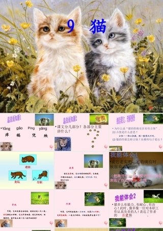 五年级语文上册 第三单元 9《猫》课件2 北京版-北京版小学五年级上册语文课件