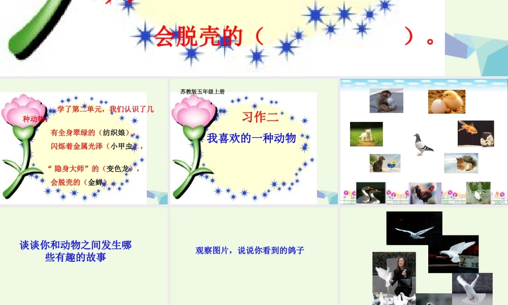 五年级语文上册 习作二 我喜欢的一种动物作文课件1 苏教版-苏教版小学五年级上册语文课件