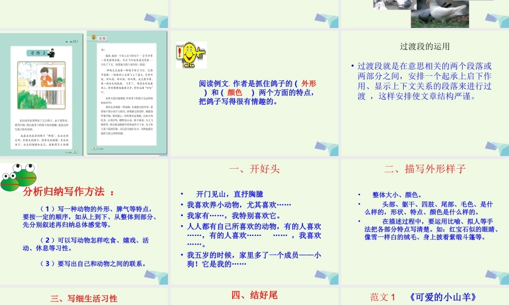 五年级语文上册 习作二 我喜欢的一种动物作文课件1 苏教版-苏教版小学五年级上册语文课件