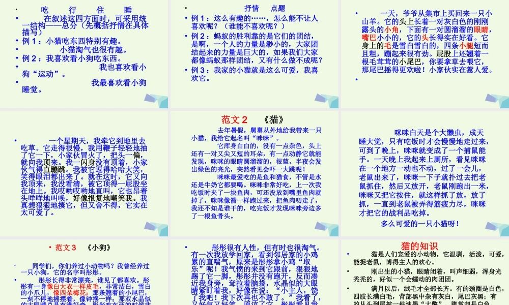 五年级语文上册 习作二 我喜欢的一种动物作文课件1 苏教版-苏教版小学五年级上册语文课件