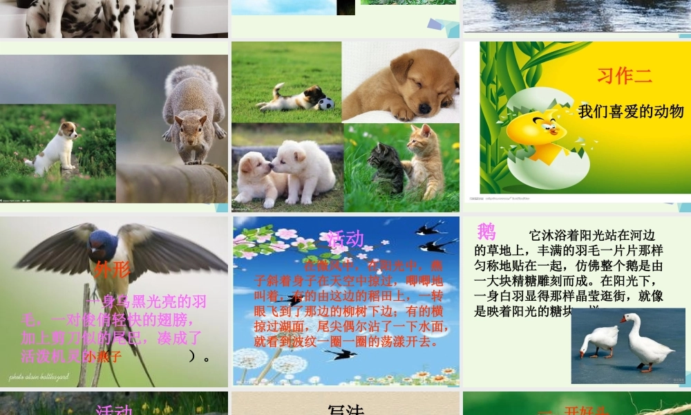 五年级语文上册 习作二 我喜欢的一种动物作文课件2 苏教版-苏教版小学五年级上册语文课件