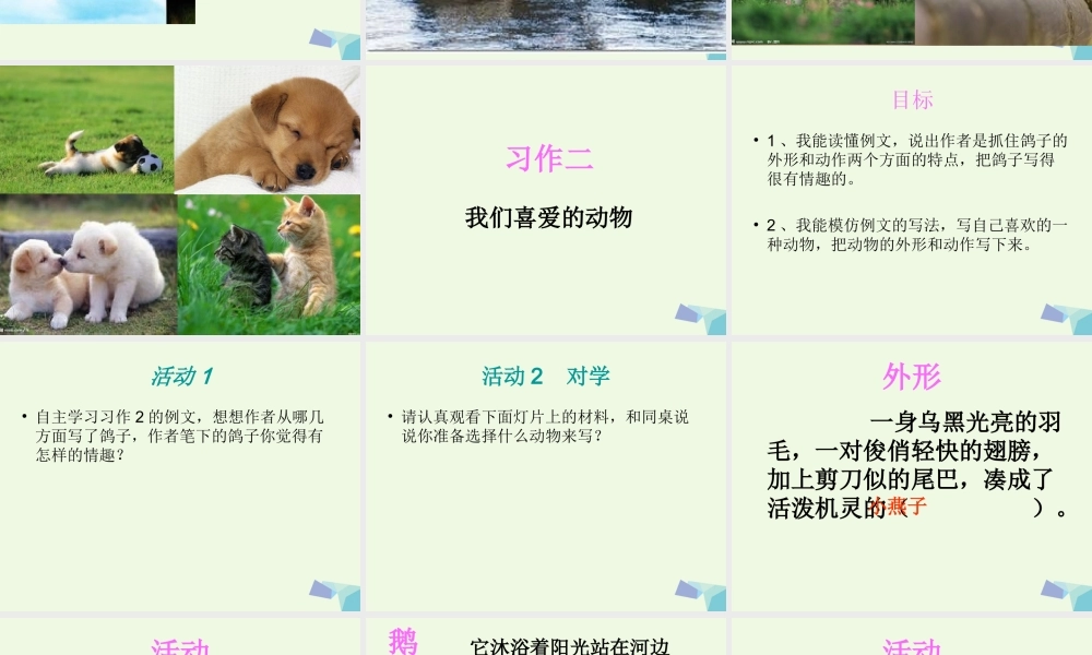 五年级语文上册 习作二 我喜欢的一种动物作文课件3 苏教版-苏教版小学五年级上册语文课件