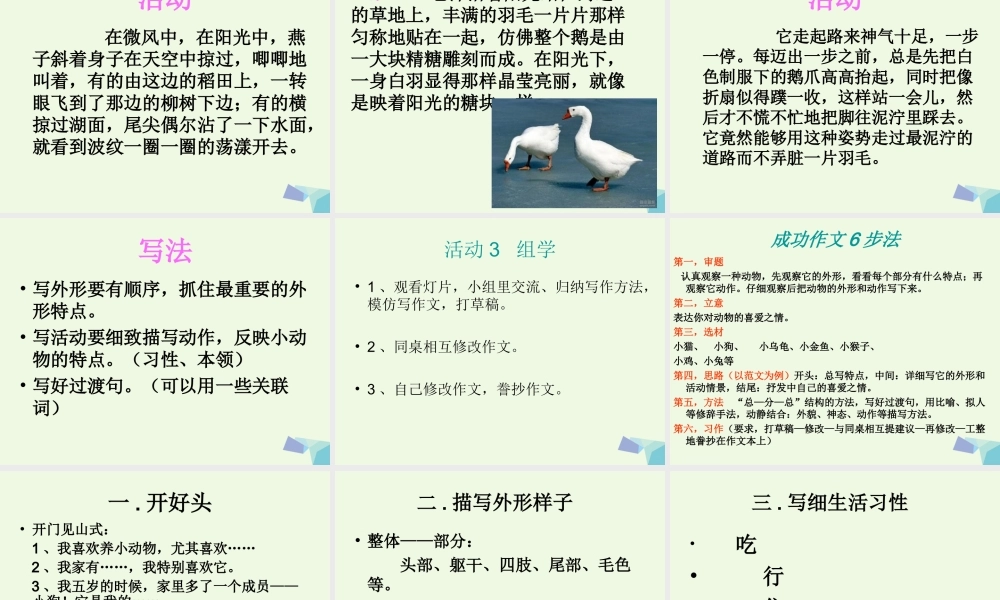 五年级语文上册 习作二 我喜欢的一种动物作文课件3 苏教版-苏教版小学五年级上册语文课件