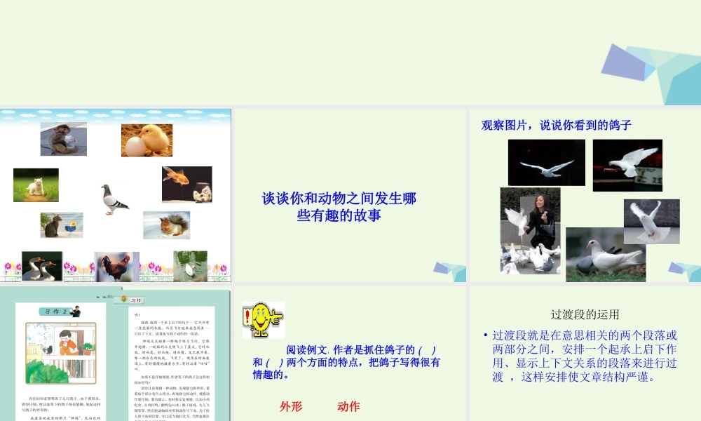 五年级语文上册 习作二 我喜欢的一种动物作文课件4 苏教版-苏教版小学五年级上册语文课件