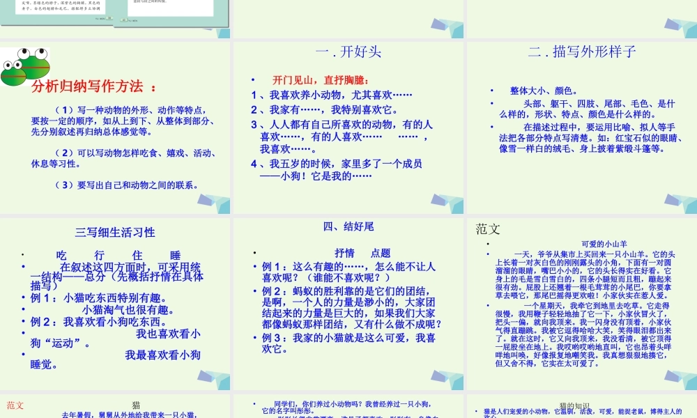 五年级语文上册 习作二 我喜欢的一种动物作文课件4 苏教版-苏教版小学五年级上册语文课件