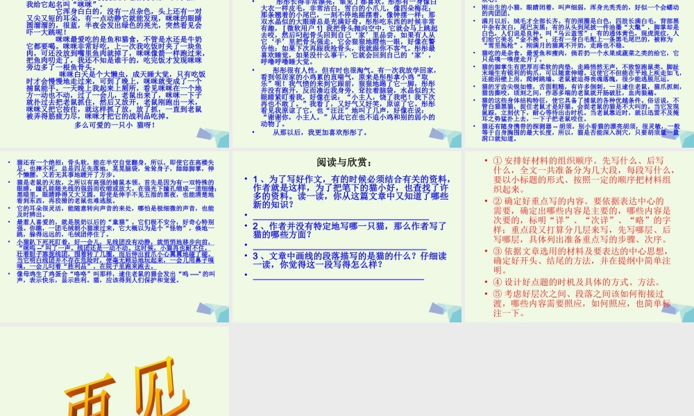 五年级语文上册 习作二 我喜欢的一种动物作文课件4 苏教版-苏教版小学五年级上册语文课件