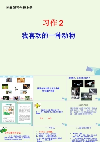 五年级语文上册 习作二 我喜欢的一种动物作文课件4 苏教版-苏教版小学五年级上册语文课件