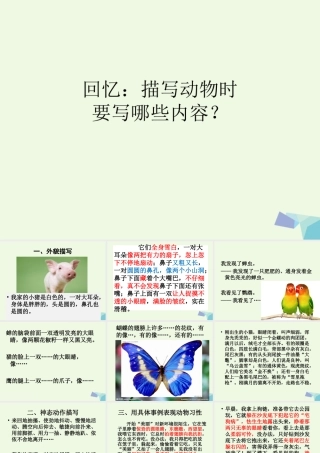 五年级语文上册 习作二 我喜欢的一种动物作文课件5 苏教版-苏教版小学五年级上册语文课件