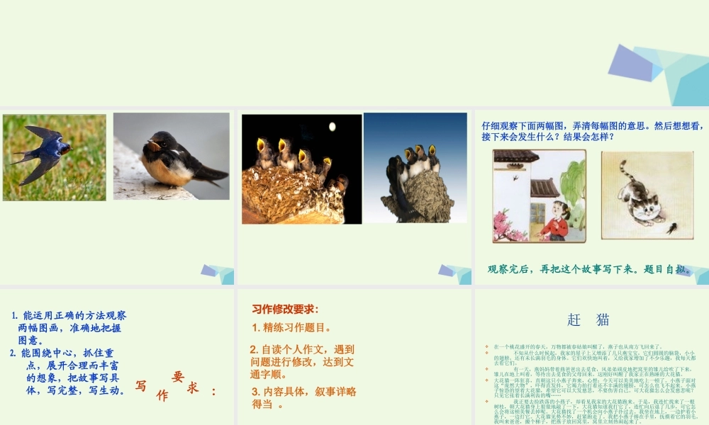 五年级语文上册 习作六 看图想象写故事作文课件2 苏教版-苏教版小学五年级上册语文课件