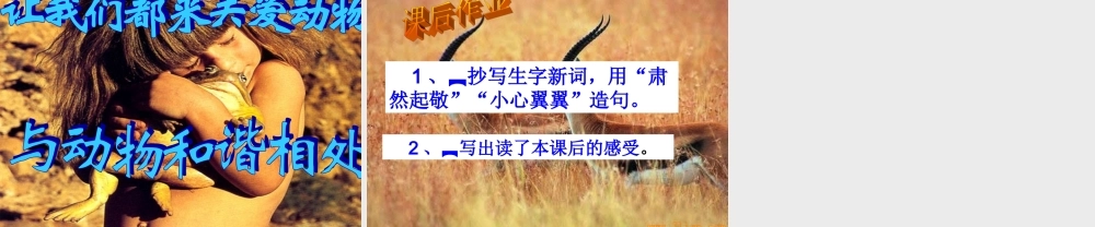 五年级语文上册 第二单元 藏羚羊的故事课件1 西师大版-西师大版小学五年级上册语文课件