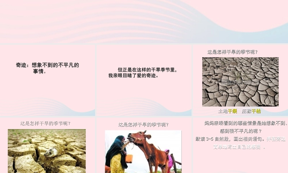 五年级语文上册 第三单元 10《爱的奇迹》课件2 北京版-北京版小学五年级上册语文课件