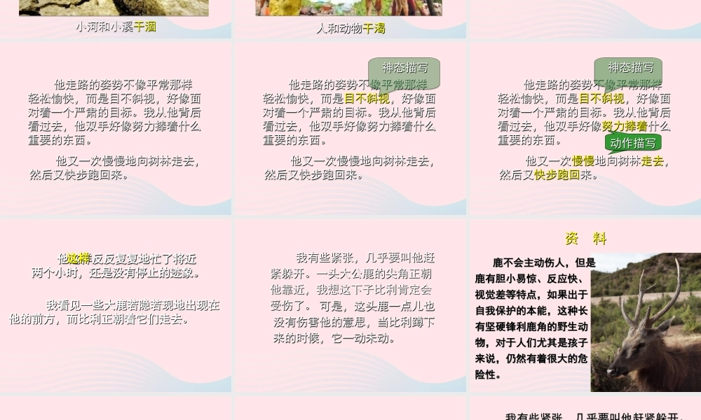 五年级语文上册 第三单元 10《爱的奇迹》课件2 北京版-北京版小学五年级上册语文课件