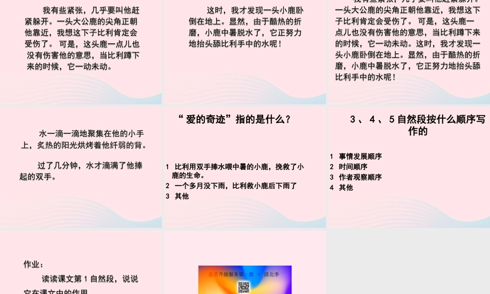 五年级语文上册 第三单元 10《爱的奇迹》课件2 北京版-北京版小学五年级上册语文课件