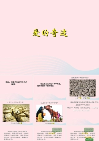 五年级语文上册 第三单元 10《爱的奇迹》课件2 北京版-北京版小学五年级上册语文课件