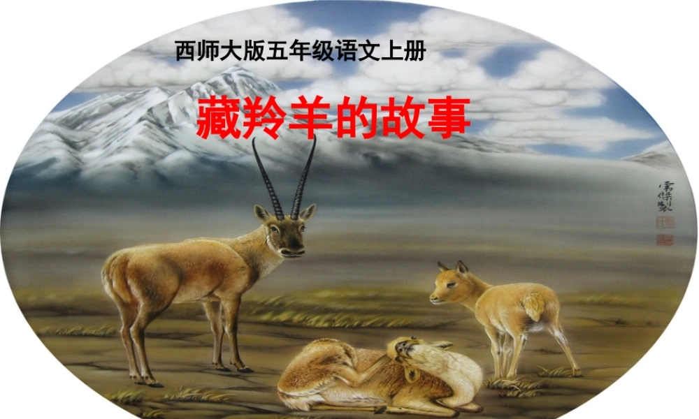 五年级语文上册 第二单元 藏羚羊的故事课件2 西师大版-西师大版小学五年级上册语文课件