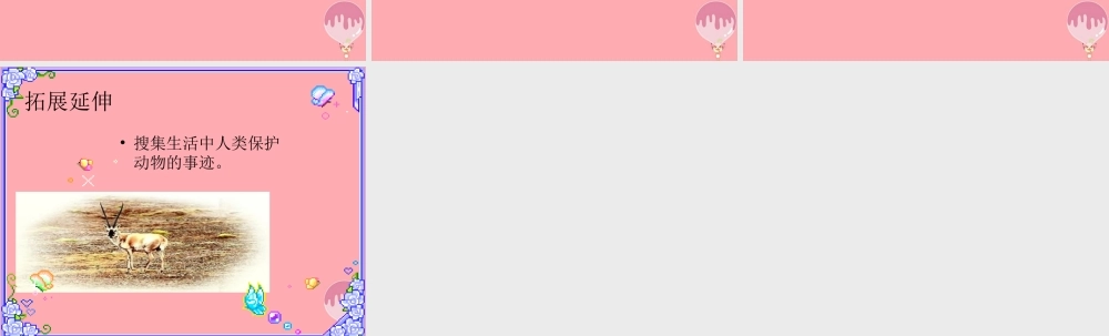 五年级语文上册 第二单元 藏羚羊的故事课件3 西师大版-西师大版小学五年级上册语文课件