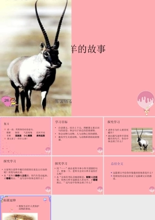 五年级语文上册 第二单元 藏羚羊的故事课件3 西师大版-西师大版小学五年级上册语文课件