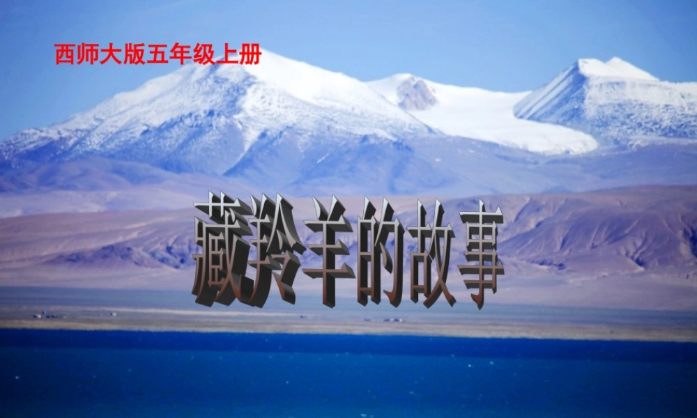 五年级语文上册 第二单元 藏羚羊的故事课件4 西师大版-西师大版小学五年级上册语文课件