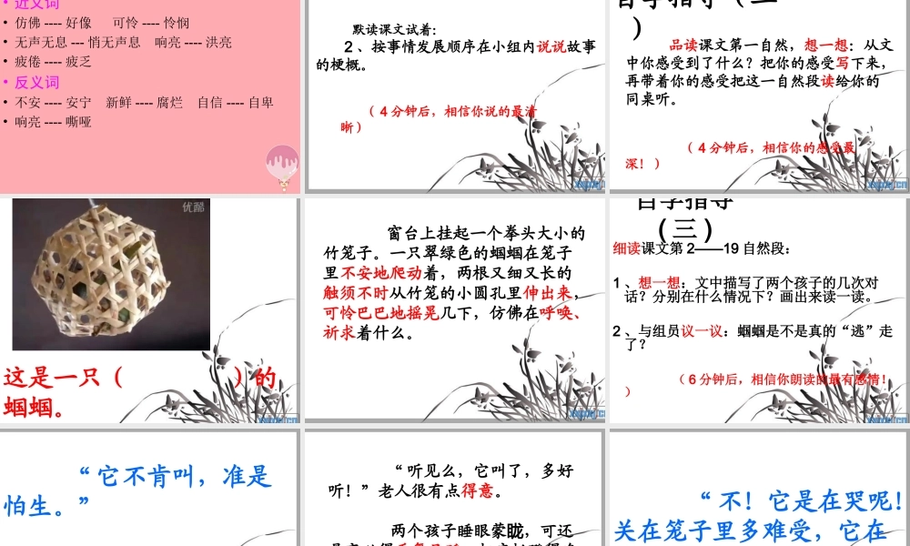 五年级语文上册 第二单元 蝈蝈课件1 西师大版-西师大版小学五年级上册语文课件