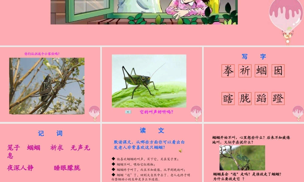 五年级语文上册 第二单元 蝈蝈课件2 西师大版-西师大版小学五年级上册语文课件