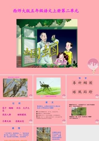 五年级语文上册 第二单元 蝈蝈课件2 西师大版-西师大版小学五年级上册语文课件