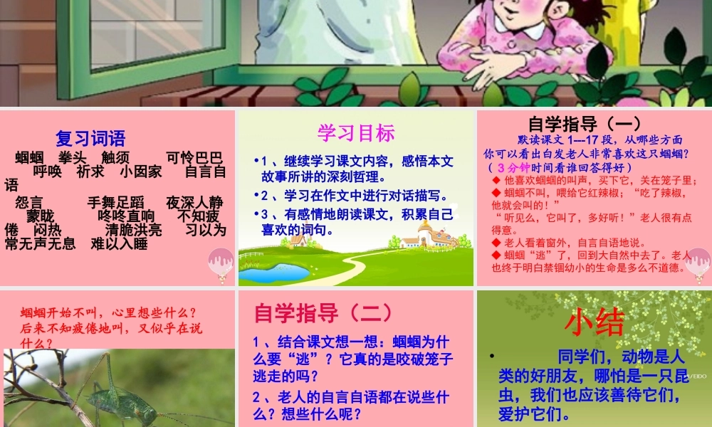 五年级语文上册 第二单元 蝈蝈课件3 西师大版-西师大版小学五年级上册语文课件