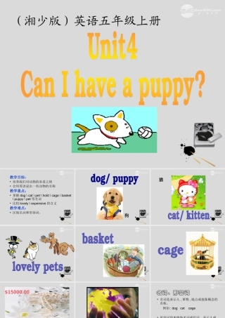 五年级英语上册 unit4课件 湘少版