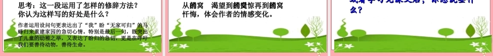 五年级语文上册 第二单元 捅马蜂窝课件1 西师大版-西师大版小学五年级上册语文课件