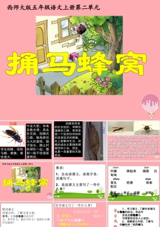 五年级语文上册 第二单元 捅马蜂窝课件1 西师大版-西师大版小学五年级上册语文课件
