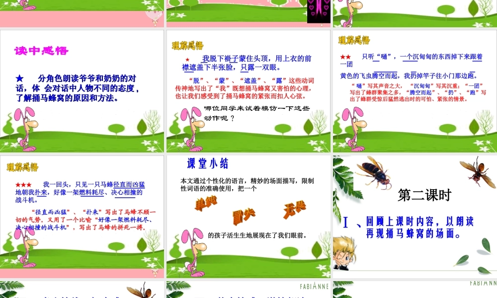 五年级语文上册 第二单元 捅马蜂窝课件2 西师大版-西师大版小学五年级上册语文课件