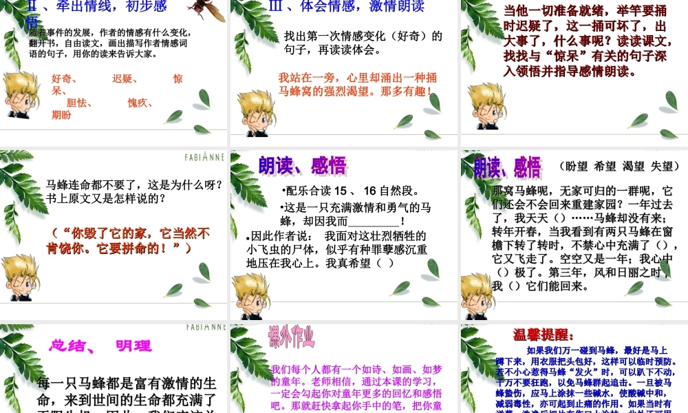 五年级语文上册 第二单元 捅马蜂窝课件2 西师大版-西师大版小学五年级上册语文课件