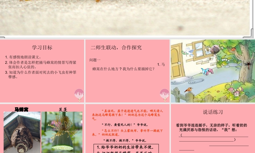 五年级语文上册 第二单元 捅马蜂窝课件3 西师大版-西师大版小学五年级上册语文课件